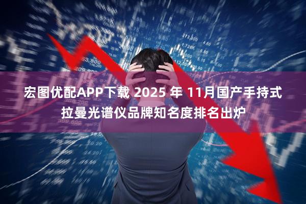 宏图优配APP下载 2025 年 11月国产手持式拉曼光谱仪品牌知名度排名出炉