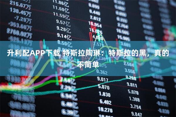 升利配APP下载 特斯拉陶琳：特斯拉的黑，真的不简单