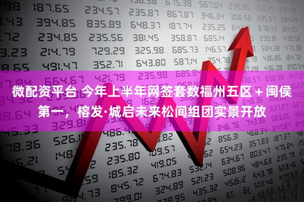 微配资平台 今年上半年网签套数福州五区＋闽侯第一，榕发·城启未来松间组团实景开放